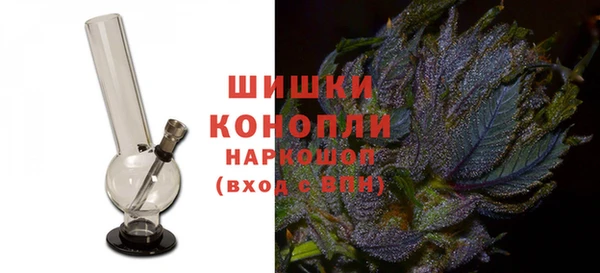 индика Сатка