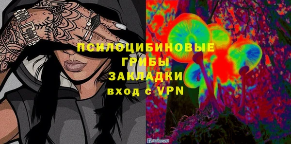 ПСИЛОЦИБИНОВЫЕ ГРИБЫ Богданович
