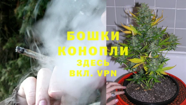 ПСИЛОЦИБИНОВЫЕ ГРИБЫ Богданович