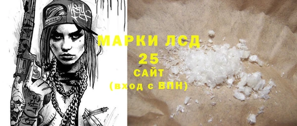 ПСИЛОЦИБИНОВЫЕ ГРИБЫ Богданович