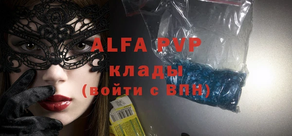 ПСИЛОЦИБИНОВЫЕ ГРИБЫ Богданович